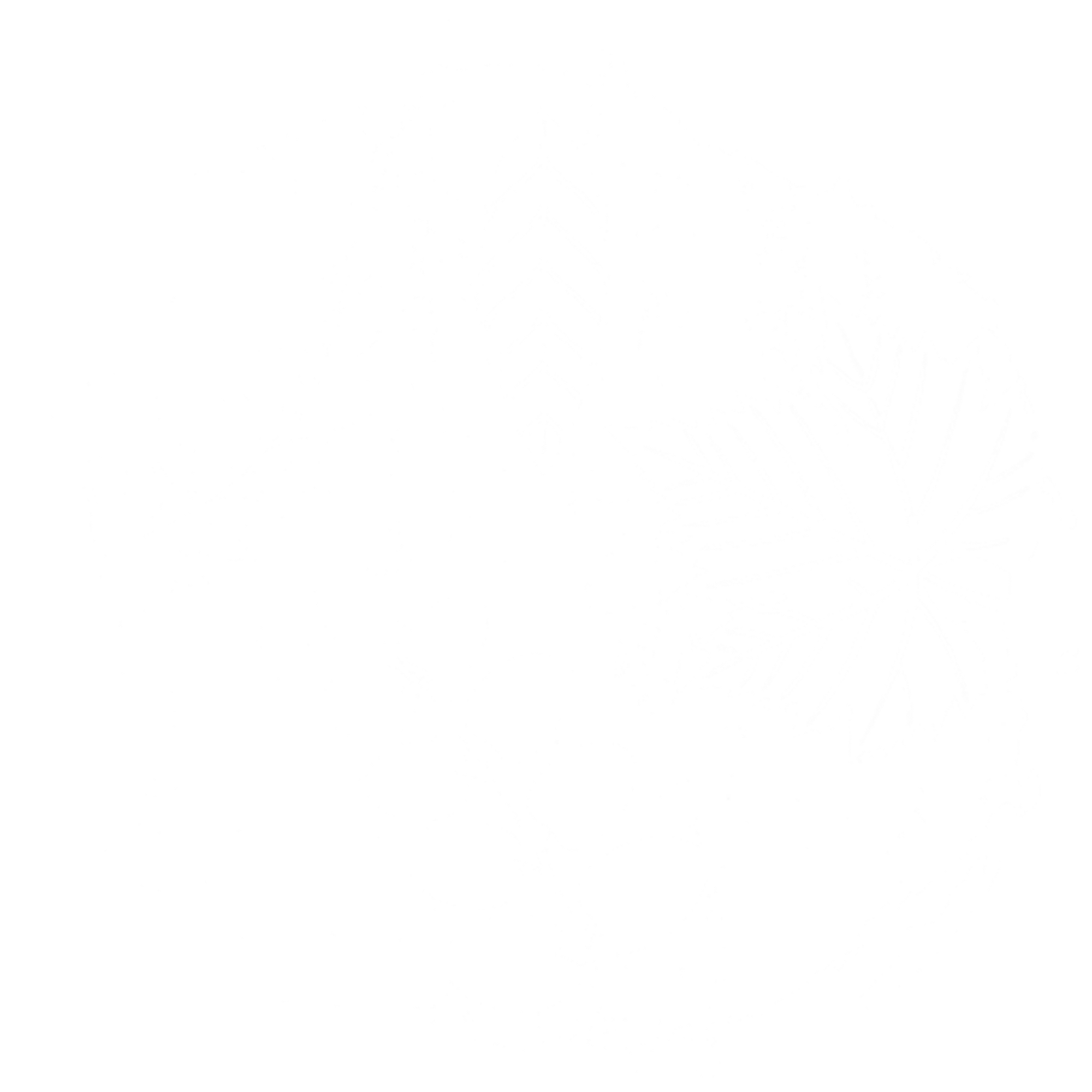 logo Le Bocage Connecté